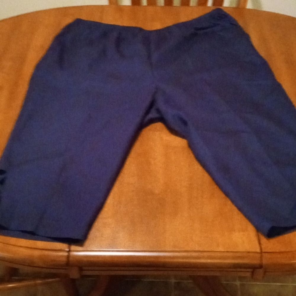 Blair women's pants size 2X